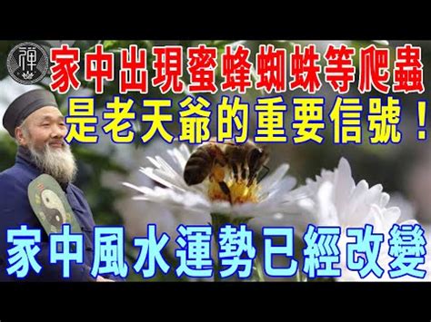 土蜂窩風水|【土蜂窩風水】家裏有土蜂窩象徵什麼風水有什麼講究 